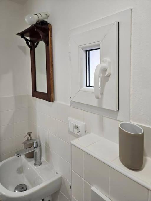 Rosy'S House Un Attico A Due Passi Dall'Acquario Parking Free Apartment Genoa Ngoại thất bức ảnh